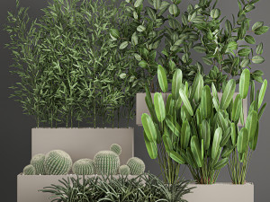 collection of plants from bushes and thickets for landscape design 1063 3D Model