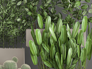 collection of plants from bushes and thickets for landscape design 1063 3Dモデル