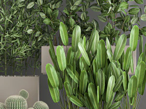 collection of plants from bushes and thickets for landscape design 1063 3D Model
