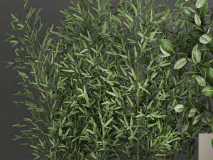 collection of plants from bushes and thickets for landscape design 1063 3D Model