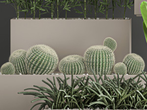 collection of plants from bushes and thickets for landscape design 1063 3Dモデル