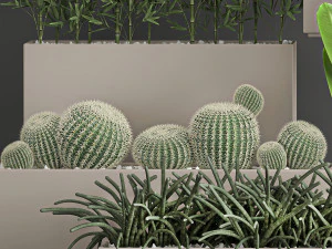collection of plants from bushes and thickets for landscape design 1063 3D Model