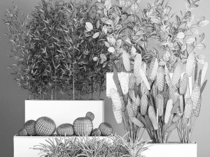 collection of plants from bushes and thickets for landscape design 1063 3D Model