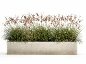 potted reeds for landscaping 1064 3D Model