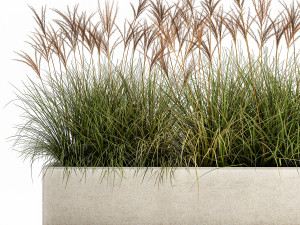 potted reeds for landscaping 1064 3D Model