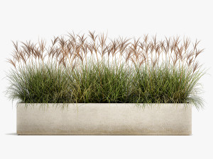 potted reeds for landscaping 1064 3D Model