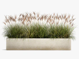potted reeds for landscaping 1064 3D Model