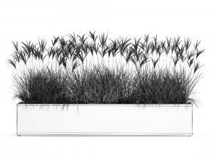 potted reeds for landscaping 1064 3D Model