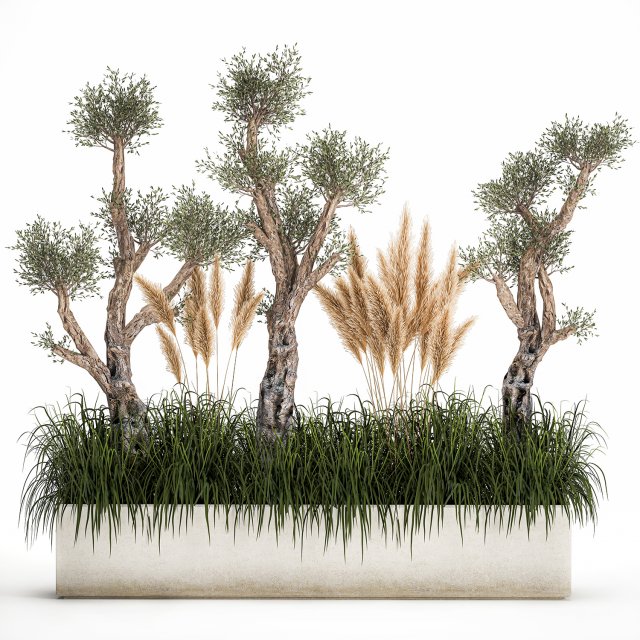 plants for outdoor and landscaping 1065 Modelo 3D .c4d .max .obj .3ds .fbx .stl .blend