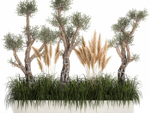 plants for outdoor and landscaping 1065 3D Модель