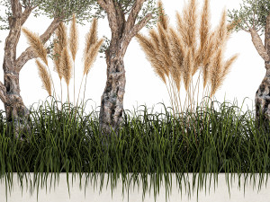 plants for outdoor and landscaping 1065 Modelo 3D