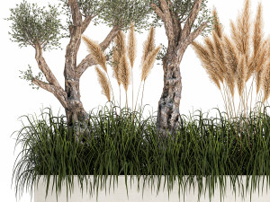 plants for outdoor and landscaping 1065 Modelo 3D
