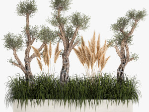 plants for outdoor and landscaping 1065 Modelo 3D