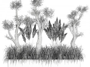 plants for outdoor and landscaping 1065 Modelo 3D