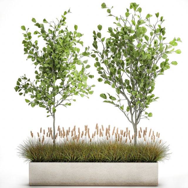 plants for outdoor and landscaping 1066 3D Model .c4d .max .obj .3ds .fbx .stl .blend