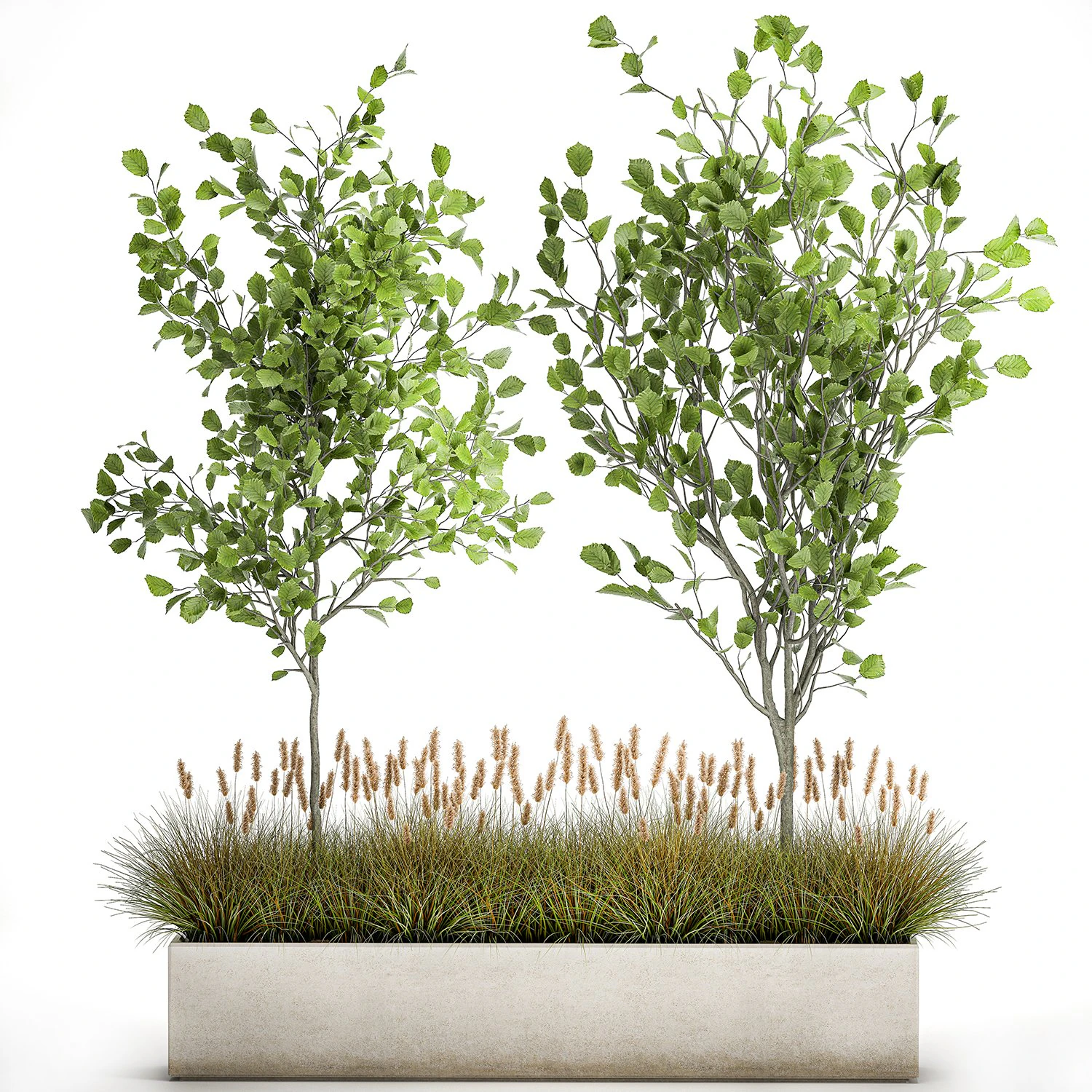 plants for outdoor and landscaping 1066 3D Model .c4d .max .obj .3ds .fbx .stl .blend 