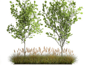 plants for outdoor and landscaping 1066 3D Model