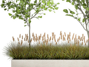 plants for outdoor and landscaping 1066 3D Model
