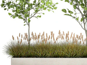 plants for outdoor and landscaping 1066 3D Model