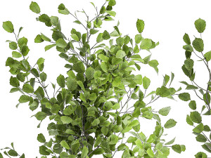 plants for outdoor and landscaping 1066 3D Model