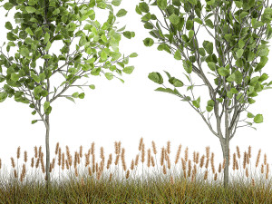 plants for outdoor and landscaping 1066 3D Model