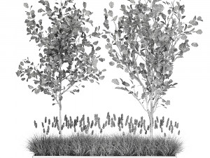 plants for outdoor and landscaping 1066 3D Model
