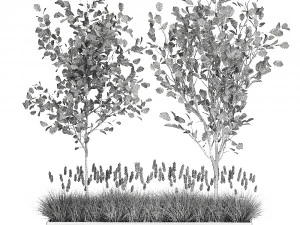 plants for outdoor and landscaping 1066 3D Model