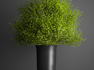 decorative bouquet of flowers in a vase for decor and interior 205 Model 3D