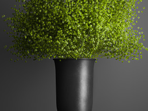decorative bouquet of flowers in a vase for decor and interior 205 Modelo 3D