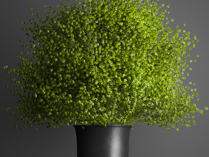decorative bouquet of flowers in a vase for decor and interior 205 Modelo 3D