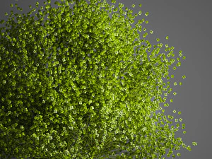 dekorativer Blumenstrau&szlig; in einer Vase f&uuml;r Dekoration und Inneneinrichtung 205 3D Modell