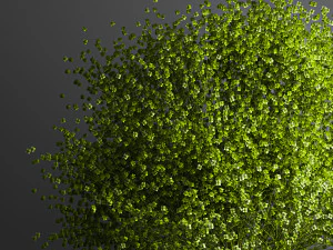 dekorativer Blumenstrau&szlig; in einer Vase f&uuml;r Dekoration und Inneneinrichtung 205 3D Modell