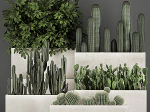 decorative cactus in a black pot for the interior 1067 3D Model