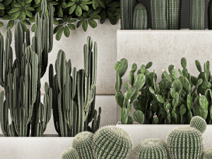 decorative cactus in a black pot for the interior 1067 Model 3D