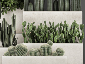decorative cactus in a black pot for the interior 1067 Model 3D