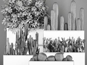 decorative cactus in a black pot for the interior 1067 Model 3D