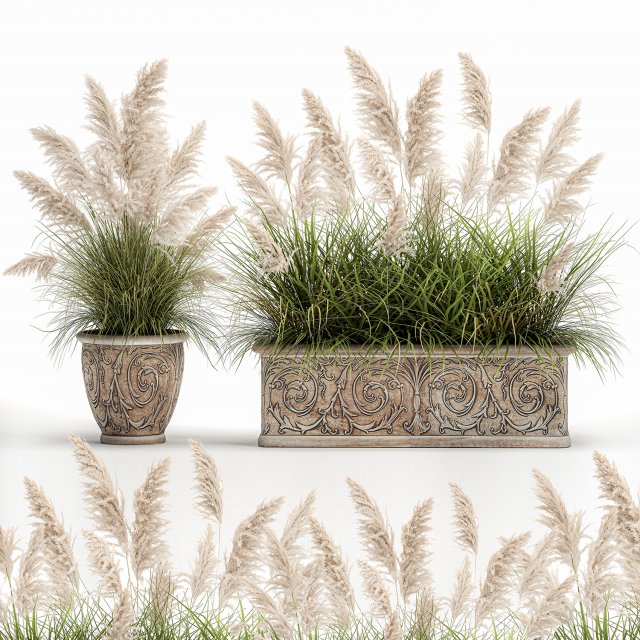 pampas grass for landscaping in a classic flowerpot 1068 3D 模型 .c4d .max .obj .3ds .fbx .stl .blend 