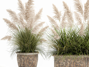 pampas grass for landscaping in a classic flowerpot 1068 3D 模型