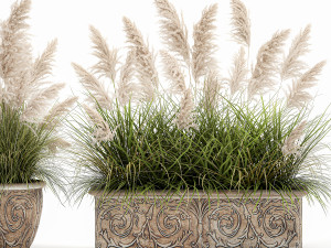 pampas grass for landscaping in a classic flowerpot 1068 3D 模型