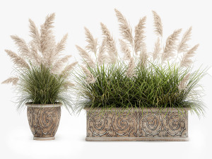 pampas grass for landscaping in a classic flowerpot 1068 3D 模型