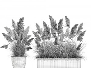pampas grass for landscaping in a classic flowerpot 1068 3D 模型