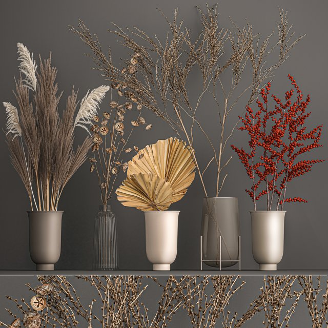 collection of bouquets of dried flowers 206 3D 模型 .c4d .max .obj .3ds .fbx .stl .blend 