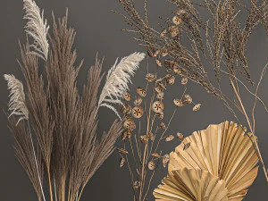 collection of bouquets of dried flowers 206 3D Model