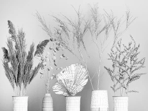 collection of bouquets of dried flowers 206 3D Model
