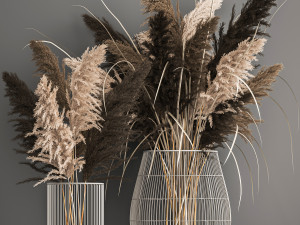decorative bouquet of dried pampas grass 1071 Model 3D