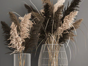 Decoratief boeket gedroogd pampasgras 1071 3D Model