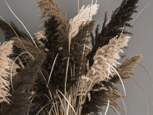 decorative bouquet of dried pampas grass 1071 3D Model
