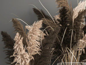 decorative bouquet of dried pampas grass 1071 3D Model