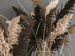 decorative bouquet of dried pampas grass 1071 3D Модель