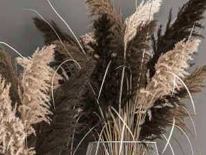 decorative bouquet of dried pampas grass 1071 3D Model